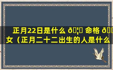 正月22日是什么 🦅 命格 🐞 女（正月二十二出生的人是什么星座）